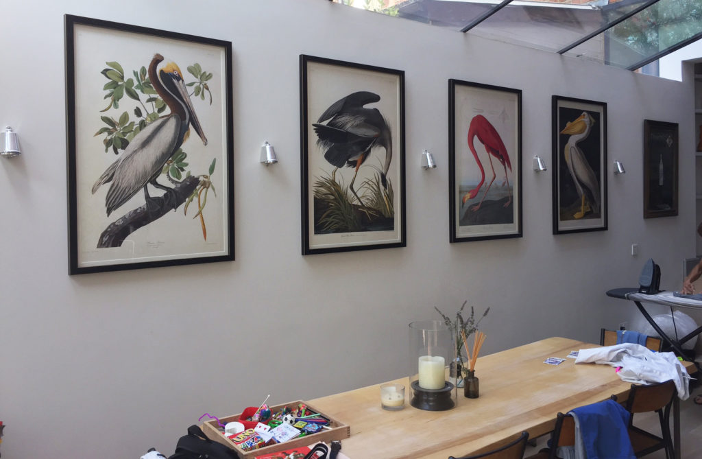 Testimonal Audubon giclee prints