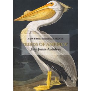 Heritage Prints Special Editon Free Brochure of Audubon's Major Birds