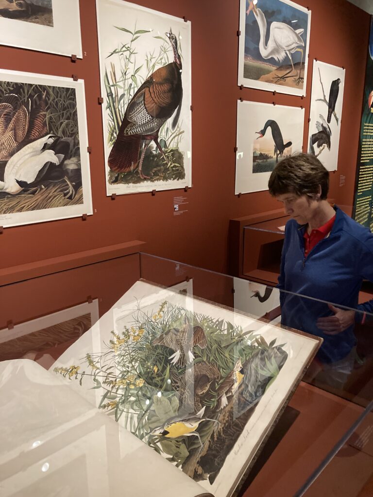 Original Audubon's Birds of America in Teylers Museum