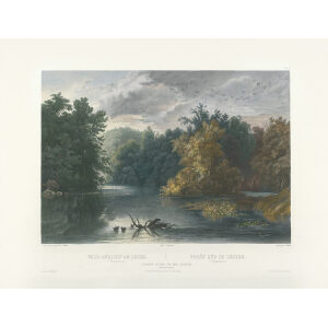 Heritage Prints Bodmer tbl 01 Forest Scene on the Lehigh (color)