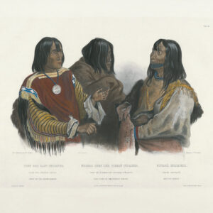 Heritage Prints Bodmer tbl 46 Chief of the Blood-Indians. War-Chief of the Piekann Indians. Koutani Indian (color)