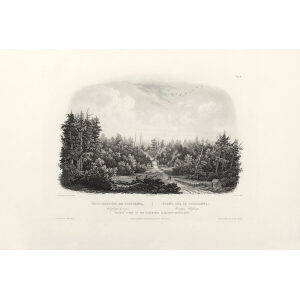 Heritage Prints Bodmer vgt 04 Forest Scene on the Tobihanna