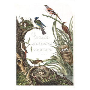 Title Page by Cornelius Nozeman. Nederlandsche Vogelen or Dutch Birds. Museum quality Facsimile giclee print. Certificate of authenticity included. Limited edition.