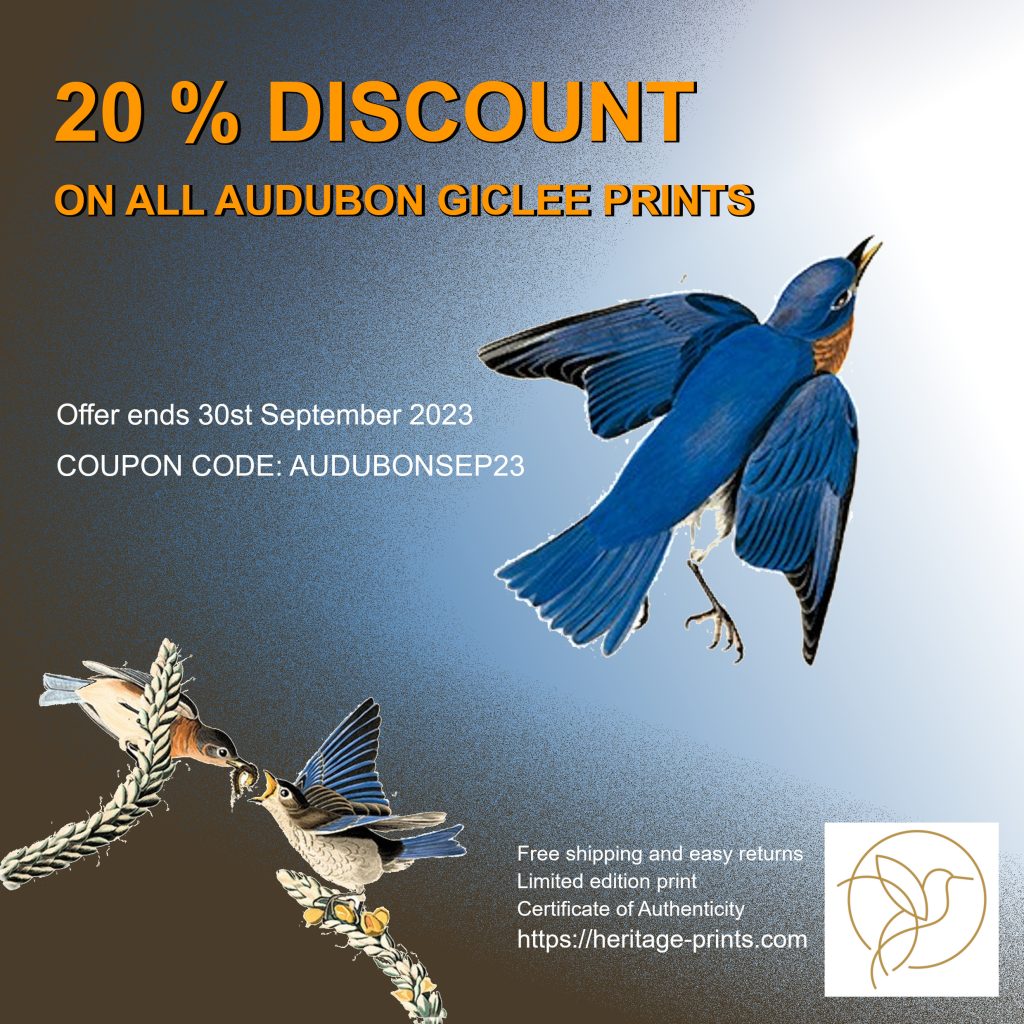 Heritage Prints Latest Updates John James Audubon Discount