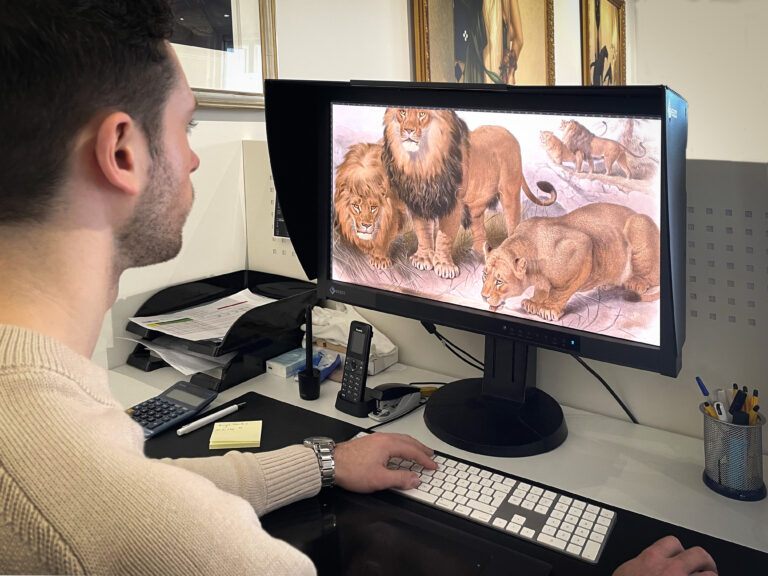 Behind the Scenes: Giclée Printing 'Family of the Cats' by Daniel Elliot. Heritage Prints - Re-Art Special Art Productions